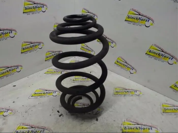 Rear coil spring Renault Trafic