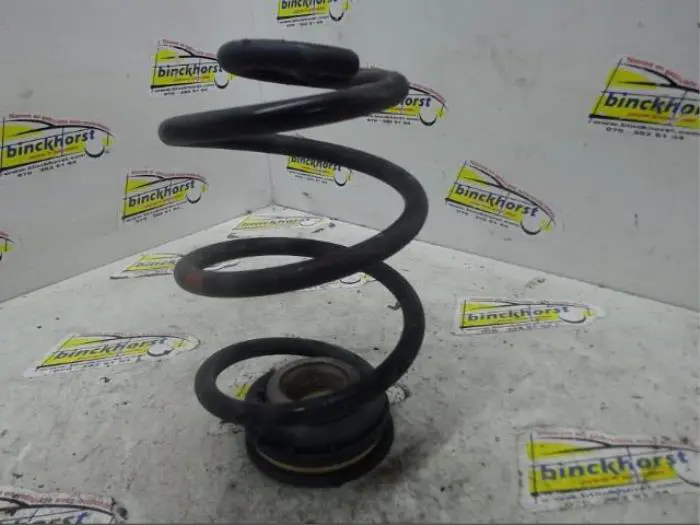Rear coil spring Renault Twingo