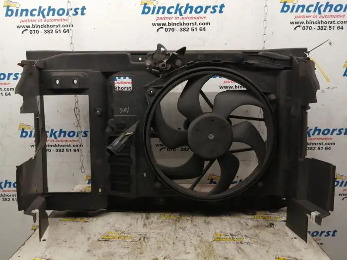Cooling fans Citroen C4