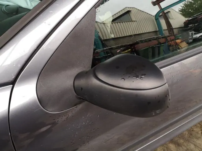 Wing mirror, left Peugeot 206 PLUS