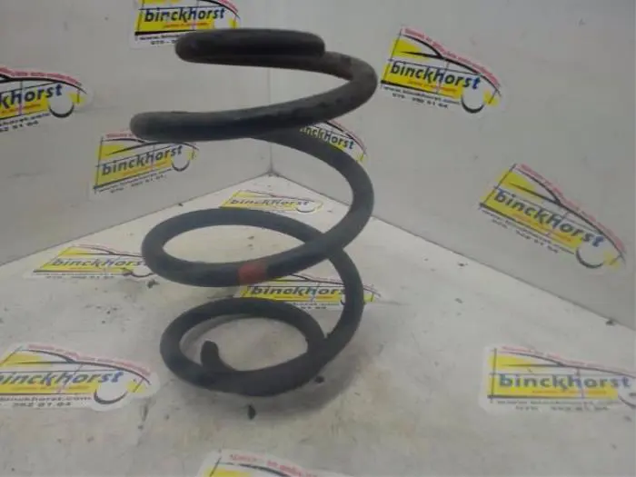 Rear coil spring Renault Twingo