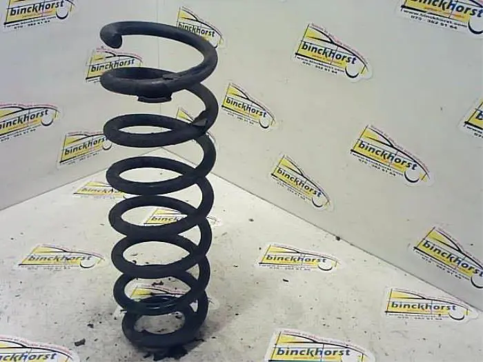 Rear coil spring Renault Grand Scenic