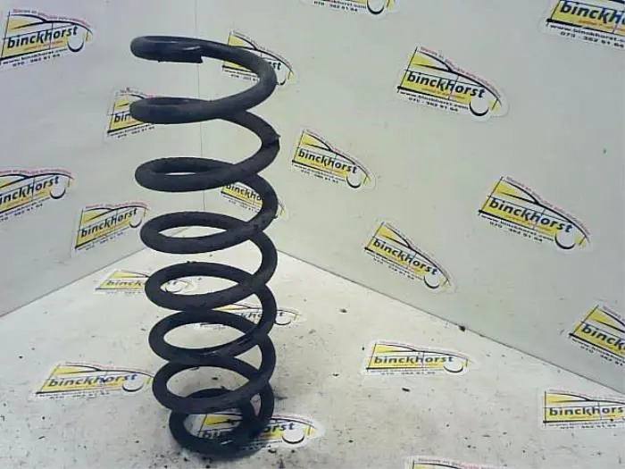 Rear coil spring Renault Grand Scenic