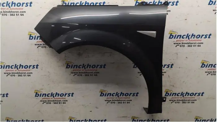 Front wing, left Renault Scenic