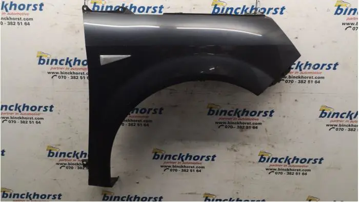 Front wing, right Renault Scenic