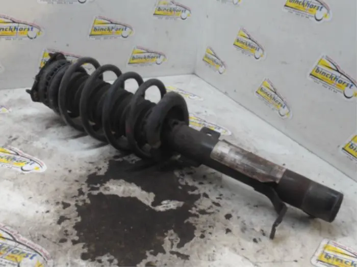 Front shock absorber rod, left Ford Fusion