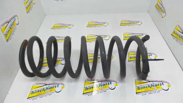 Rear coil spring Toyota Picnic