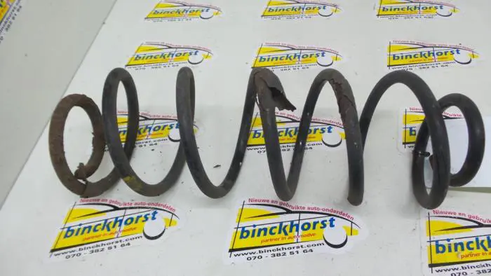 Rear coil spring Ford Fusion